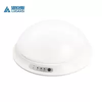 洛安斯 LED应急吸顶灯 12W 个