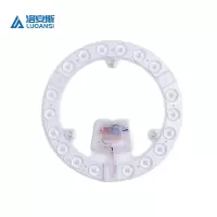 洛安斯 LED光源模组 12W 个