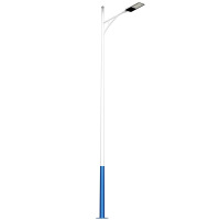 洛安斯 LED路灯6米 LAS601 套