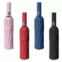 洛安斯 晴雨伞 12骨双骨 把