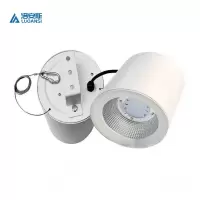 洛安斯 LED明装筒灯 TD50W B 个