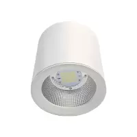 洛安斯 LED明装筒灯 TD30W 个