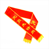 嘉盛辰希先进绶带表彰绶带规格型号:38元定制 计量单位:条