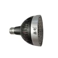 鑫彪30W P30光源 支