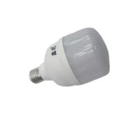 鑫彪LED灯源球泡E27-10W 个