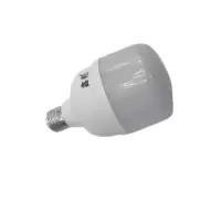 鑫彪LED灯源球泡E27-60W 个