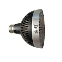 鑫彪40W P30光源/支