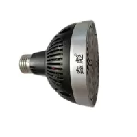 鑫彪40W P30光源/支