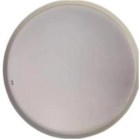 鑫彪吸顶灯 直径2.4M/盏