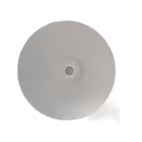 鑫彪人体感应吸顶灯12W/个