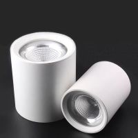 鑫彪明装高顶灯筒灯OC-SMCOB-1302-150MM-30W/盏