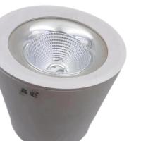 鑫彪LED明装筒灯CYTD-36W/盏