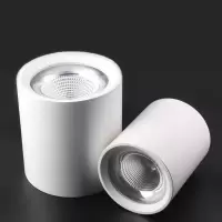 鑫彪LED明装筒灯CYTD-48W/盏