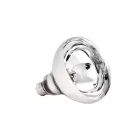 鑫彪 LED取暖灯浴霸灯泡275W/个