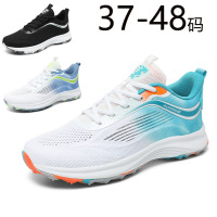 丛信哲 男女款运动鞋 X261 /双