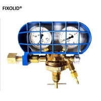 FIXOLID氧气表总成 YJRS60-315bar 个