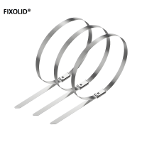 FIXOLID 不锈钢扎带 10*1000mm 根
