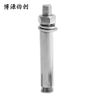 博源钧创 304不锈钢膨胀螺栓 4.8级M14*100 个