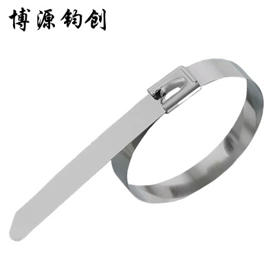 博源钧创 304不锈钢扎带 7.9*100MM 根