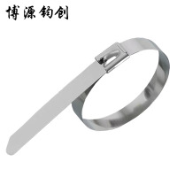 博源钧创 304不锈钢扎带 7.9*800MM 根