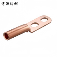 博源钧创 双孔铜鼻子 铜色双孔DTS-50 个