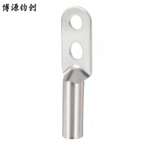 博源钧创 双孔铜鼻子 镀锡双孔DTS-185 个