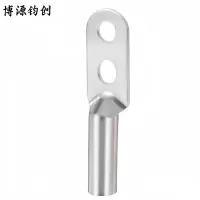 博源钧创 双孔铜鼻子 镀锡双孔DTS-185 个