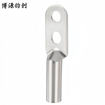 博源钧创 双孔铜鼻子 镀锡双孔DTS-185 个