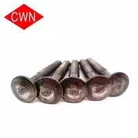 CWN 半圆头方颈螺栓