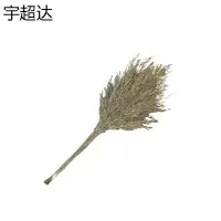 宇超达 扫帚 大号 个