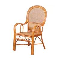鑫港鑫 藤椅 DL-503 630*650*1100mm 把