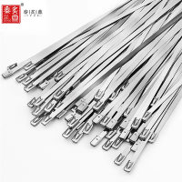 泰炙鼎 不锈钢扎带 15×700 条