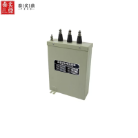 泰炙鼎 自愈式并联电容器 TZHD-BMK199 台