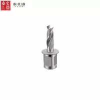 泰炙鼎 高速钢 实心钻头 9.8*25 个