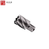 泰炙鼎 高速钢钻头31*25mm 个