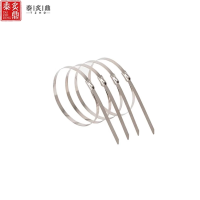 泰炙鼎 不锈钢扎带 10*1200mm 根