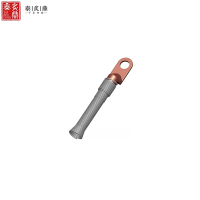 泰炙鼎 单孔铜鼻接线端子 25m² 个