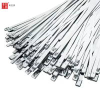 泰炙鼎 不锈钢扎带 19*1600mm 根