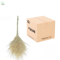 核隆钰 扫帚 小号 把