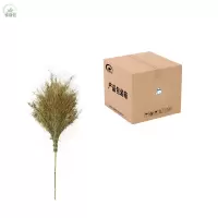 核隆钰 扫帚 竹 把