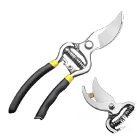 隆脉 不锈钢修枝剪树枝采摘水果花木剪园林果树花卉枝嫁接园艺剪刀工具 个