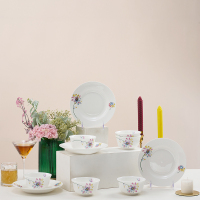 北国风光 骨瓷餐具22头花之魅TS-0022套