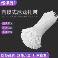 巡津捷自锁式尼龙扎带 理线带束线绑带 2.5*200mm 100根/包ZD-25200白