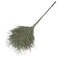 连瑞翔 大扫把 竹制 把