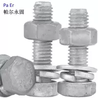 帕尔永固 镀锌穿钉(带垫片带母)M16×50 套