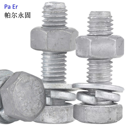 帕尔永固 镀锌穿钉(带垫片带母)(M16×300mm ) 套