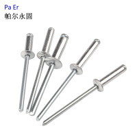 帕尔永固不锈钢抽芯铆钉4×12 个