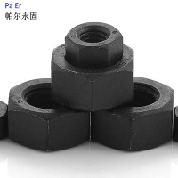 帕尔永固1型六角螺母M16mm8 个