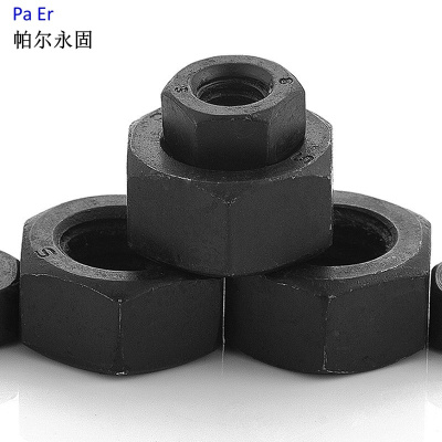 帕尔永固1型六角螺母M20mm8个