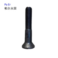 帕尔永固沉头带榫螺栓20×110mm个